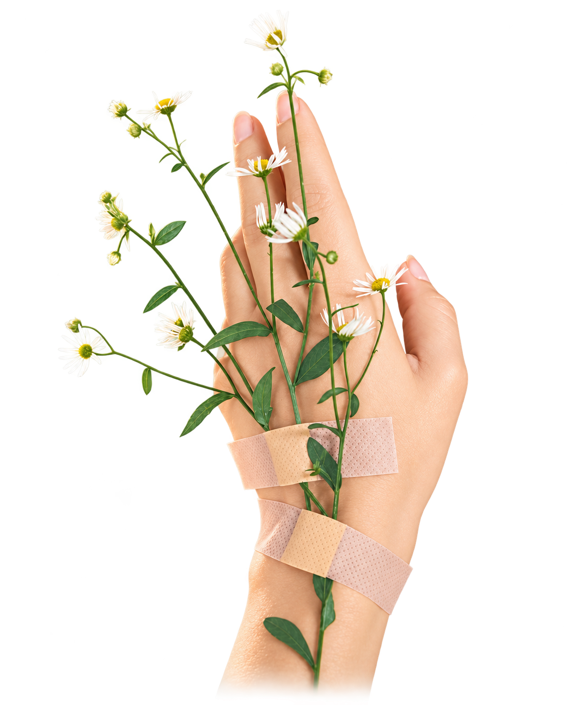 Eine Hand mit weißen Blumen